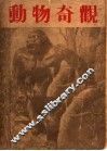 动物奇观  第3版