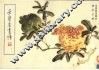 荣宝斋画谱  98  写意花鸟部分