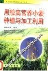 黑粒高营养小麦种植与加工利用