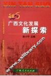 广西文化发展新探索  2006
