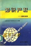 知识产权  法律与实务