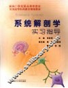 系统解剖学实习指导