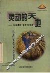 灵动的天地  上海市曹杨二中学生作文选