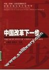 中国改革下一步