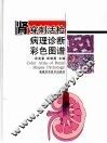 肾穿刺活检病理诊断彩色图谱