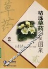 精选草药彩色图集  2