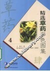 精选草药彩色图集  4
