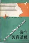 青年美育基础
