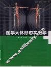 医学大体形态实验学