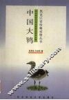 中国大鸨
