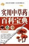 实用中草药百科宝典