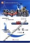 导学精练  历史  八年级  下  人教
