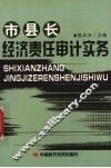 市县长经济责任审计实务