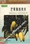 芒果栽培技术