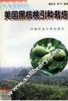 美国黑核桃引种栽培