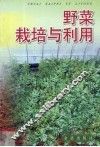 野菜栽培与利用