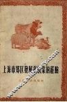 上海市郊区发展畜牧业的经验