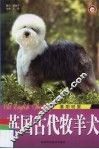 英国古代牧羊犬  喜剧明星