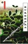 茶叶栽培实用技术