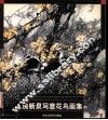 房新泉写意花鸟画集