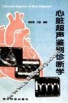 心脏超声鉴别诊断学