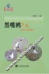 黑嘴鸥  辽宁省优秀自然科学著作