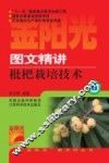 图文精讲枇杷栽培技术