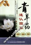 青草药速认图集