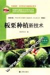 板栗种植新技术