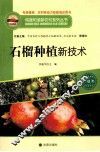 石榴种植新技术