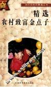 精选农村致富金点子