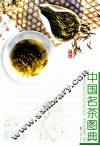中国名茶图典  典藏版