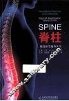 康复医学速查丛书  脊柱