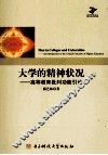 大学的精神状况  高等教育批判功能引论