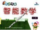 全脑开发智能数学  大班  3