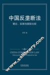 中国反垄断法  理论、实践与国际比较