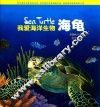海龟