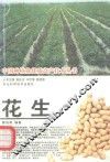 花生