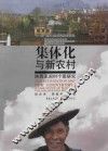 集体化与新农村  陕西王涧村个案研究