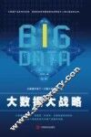 大数据大战略
