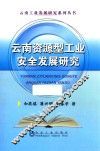 云南资源型工业安全发展研究