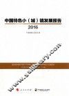 中国特色小（城）镇发展报告  2016