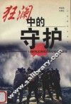 狂澜中的守护  1998特大洪灾江西社会控制研究