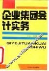 企业集团会计实务