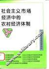 社会主义市场经济中的农村经济体制