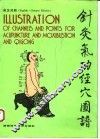 针灸气功经穴图谱  英汉对照