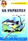 鲇鱼、鲈鱼养殖实用技术