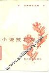 小说技巧探赏