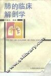 肺的临床解剖学