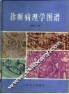 诊断病理学图谱